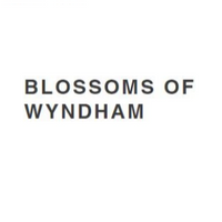 blossomofwyndham