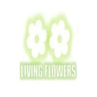 livingflower