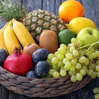 Best_Fruits