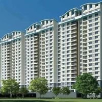 purvareview
