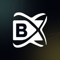 blockchainx