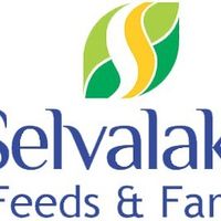 sriselvalakshmifeeds