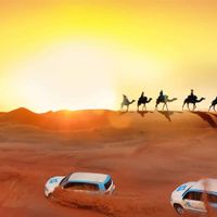eveningdeserttsafari