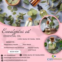 Eucalyptus_oil