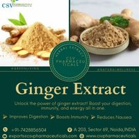 Ginger Extract_