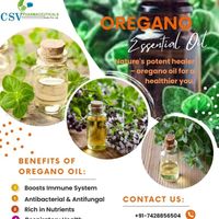 Oreganoessentialoil