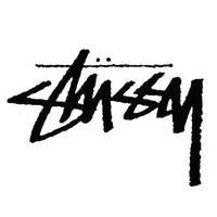 Stussybasichoodie