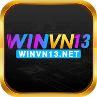 winvn13net