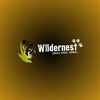 wildernestdandeli