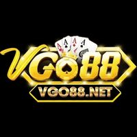 Vgo88net2
