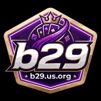 B29usorg1