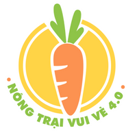nongtraivuive