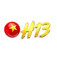 h13fcomv1n