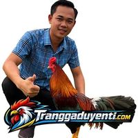traigaduyenti